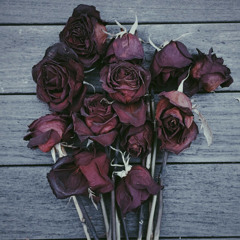 Dead Roses- Alpha Al (prod.by Official Javi)