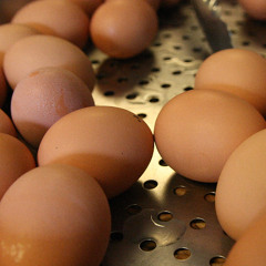 playing on eggshells