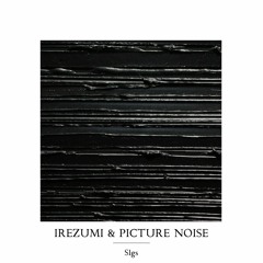 Irezumi & Picture Noise - Slgs (extract)