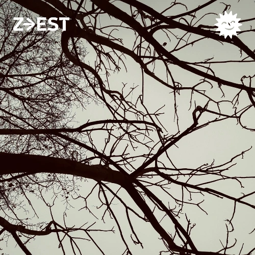 Deviant - Schaed Soundcloud podcast image for