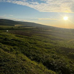 May (Slowed + Reverb)