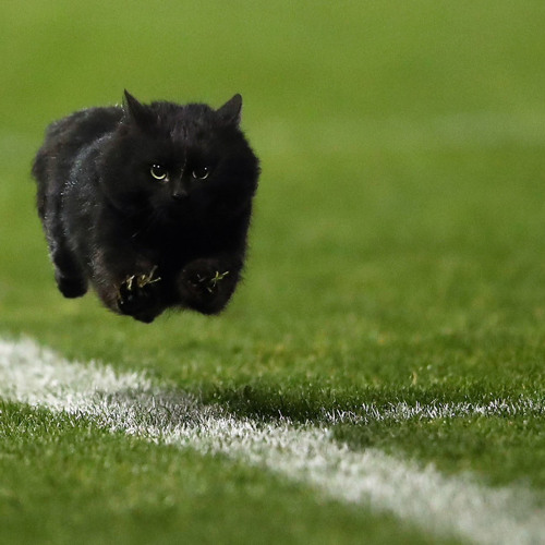 ココロ、感情 (Demo)