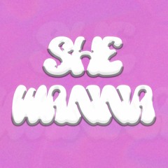 Mayday ft SD9 - She Wanna [Prod. By DubzCo]