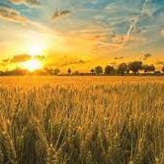 Until We Meet Again (Instrumental)