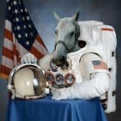 THE SMOKE AND THE DAMAGE DONE