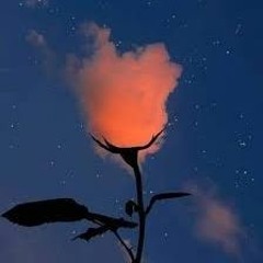 sweet dreams