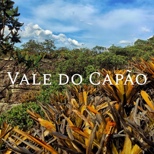 Vale do Capão (Original Mix)