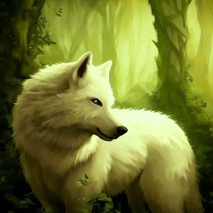 Wolves Howling Sounds in the Woods