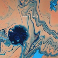 Ardú - Field Of Lights Remix