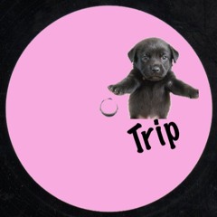 Trip