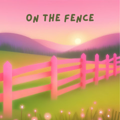 on the fence