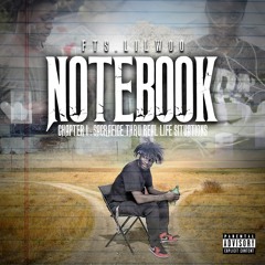 Tryna Get It
