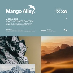 Premiere: Joel Lokk - Climate Control (Analog Jungs Remix) [Mango Alley]