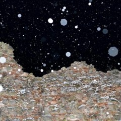 "MolaTalk": Як сабраць 3095 рублёў на выставу ля сцен Крэўскага замка