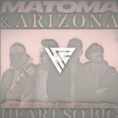 Matoma & Arizona - Heart So Big ( Kratz Remix) #masterchannel