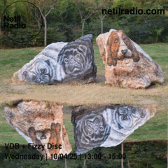 VDB + FIZZY DISC - PSYCH/FOLK/FREAK Netil Special