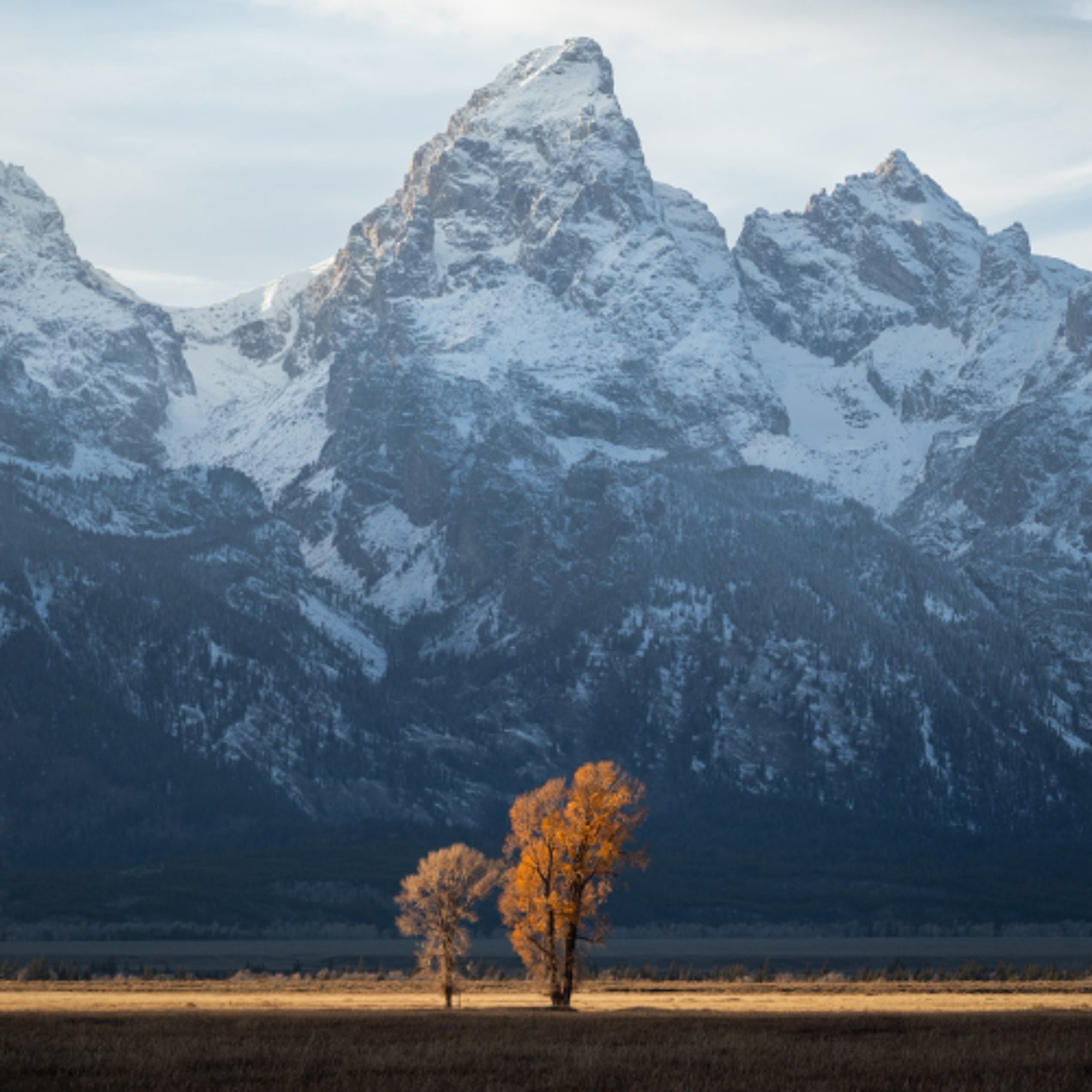 [모양만 가지고 능력은 부인한다]딤후3:1-9
