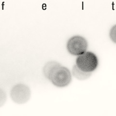 felt