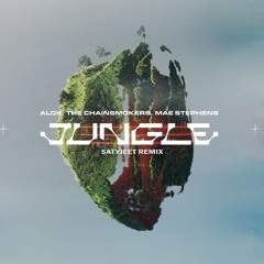 Alok, The Chainsmokers & Mae Stephens - Jungle (Satyjeet Remix)