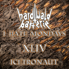 I Hate Mondays XLIV | Icetronaut | Hardtechno | 160 bpm