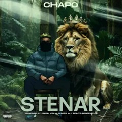 Chapo - Stenar