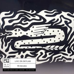 | LIVE ON SKYLAB | w/ Birdsnake
