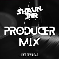 SHAUN JNR - PRODUCER MIX - FREE DOWNLOAD