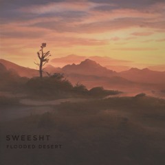 Flooded Desert