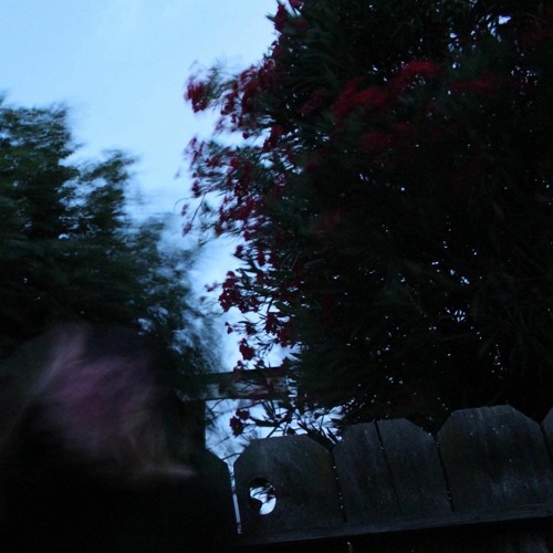 color me blind [prod. wisssery x pekarot]