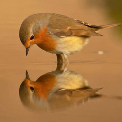 u don't even know my name do u