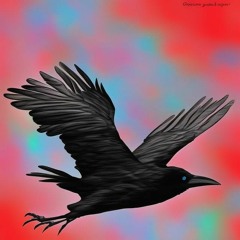 The Raven Flies