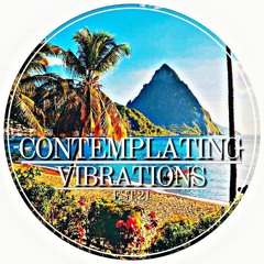 Contemplating Vibrations [#04] Paranoid SouL