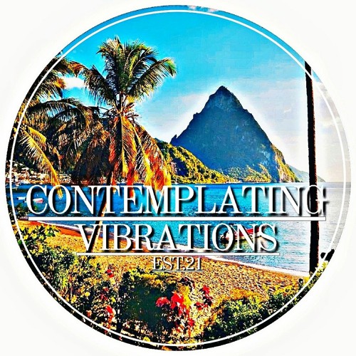 Contemplating Vibrations [#04] Paranoid SouL