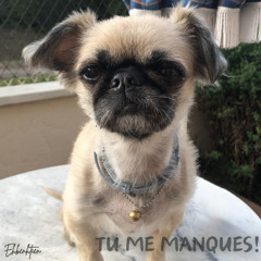 Ehbenhtien - Tu me manques!