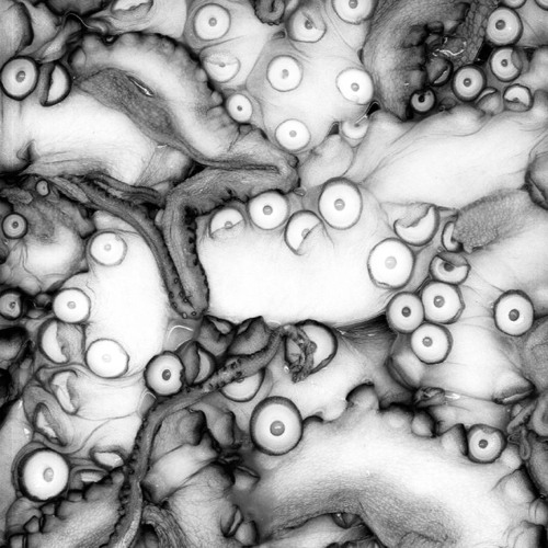 APHOTIC for string quartet (2022)