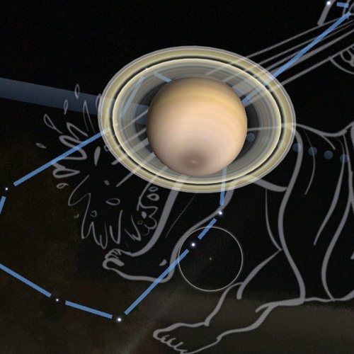 FOOLS IN LOVE (2025)