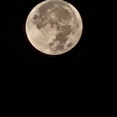 9 Under A Full Blue Moon