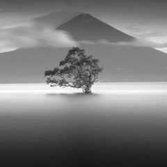 و نَبقَى عَالِقين . . .