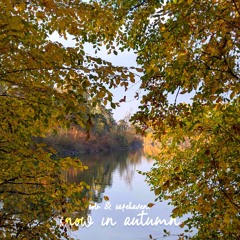 solr - plague (JessieRosse)