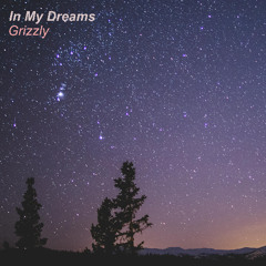 In My Dreams