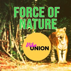 Vibration 19 – Force of Nature