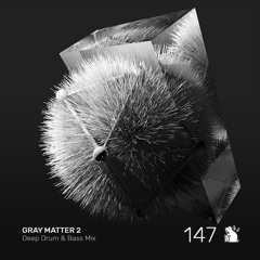 Gray Matter 2 | Deep Drum & Bass + Jungle Mix