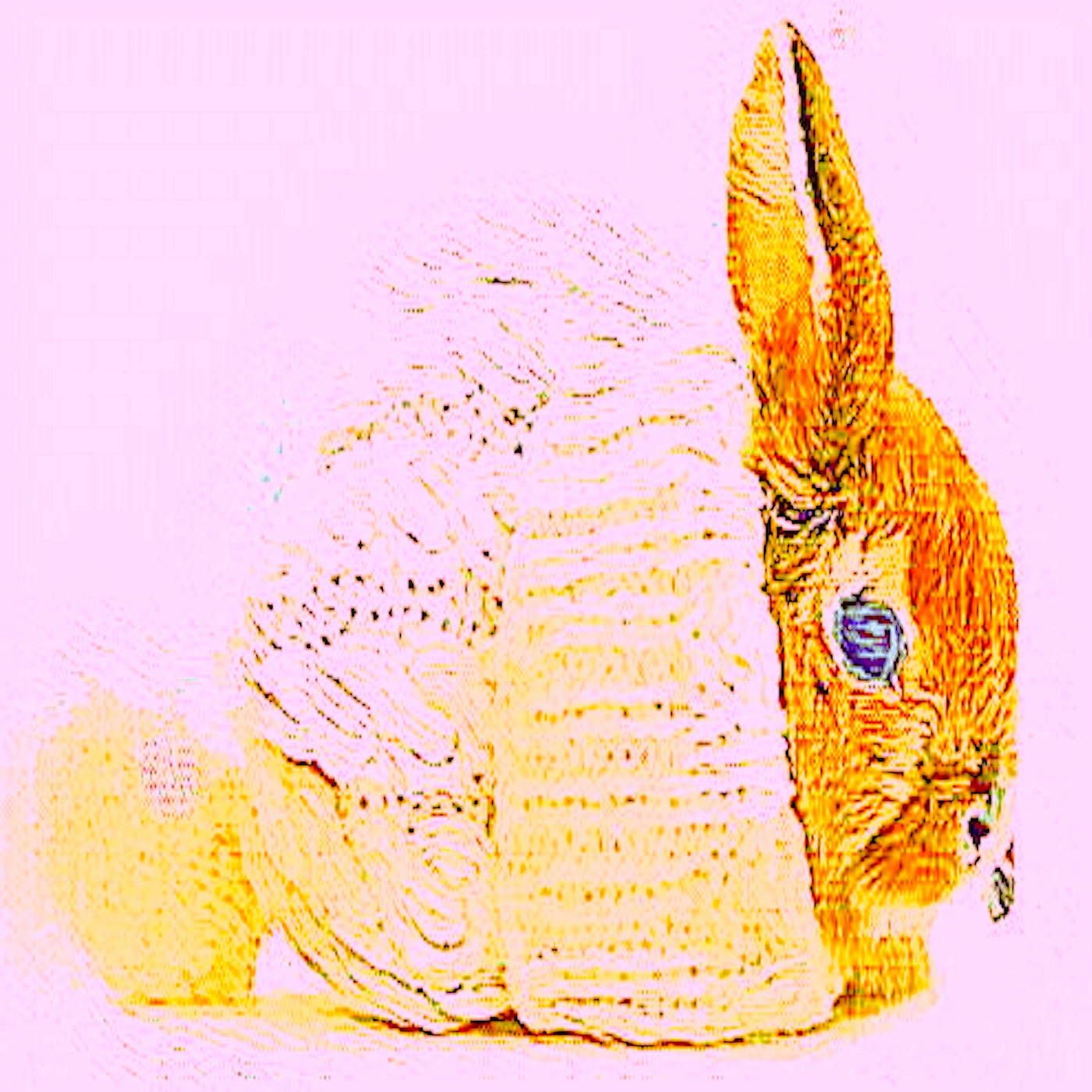 Rabbit Wearing The Hat - Osiris Daen episode artwork