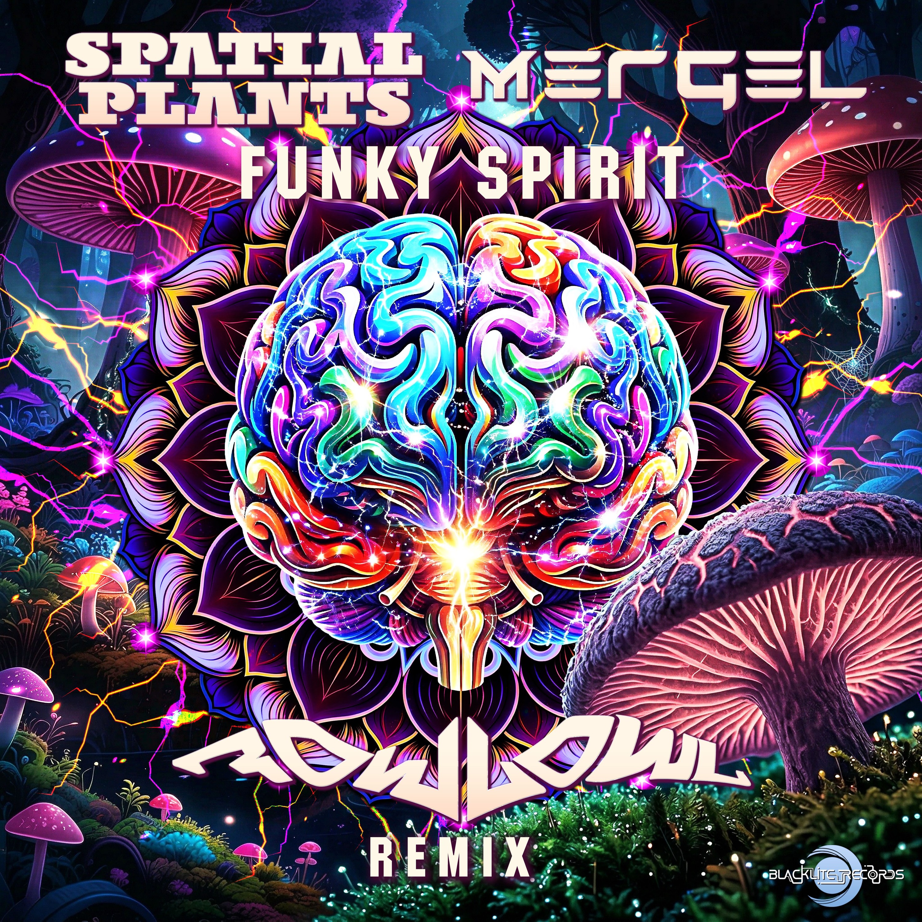 Spatial Plants, Mergel - Funky Spirit  (FowlOwl Remix) episode artwork