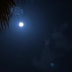 مدّ لي صوتك ابغرق!