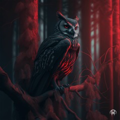 Osyris - Nocturne