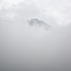 Fog