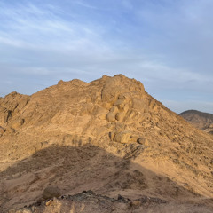 W1ldfl0Wer - kilimanjaro x bend like banana mix.mp3