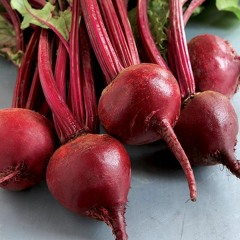 Sparta Beetroot ZBE Base