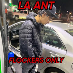 flockers only